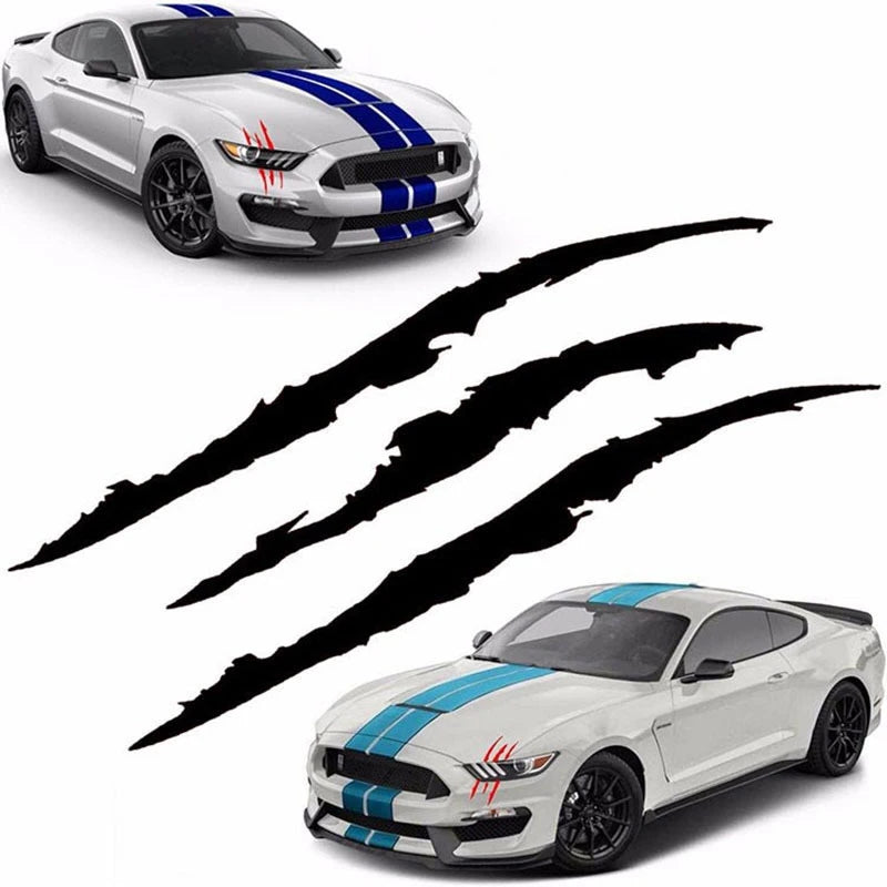 Car Sticker